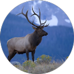 Profile photo of Justina Skeen