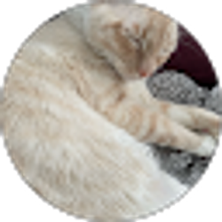 Profile photo of Jessica Witt