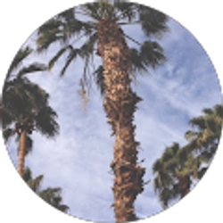 Profile photo of Ryan Wisbach