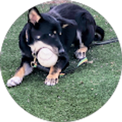Profile photo of Dawna Shupe