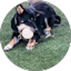 Profile photo of Dawna Shupe