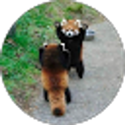 Profile photo of Briget W