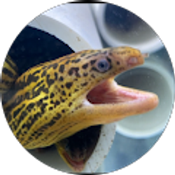 Profile photo of Grant Duvendack