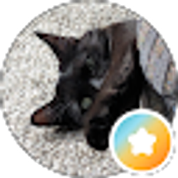 Profile photo of Clinton Kieffer