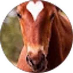 Profile photo of Tasha Drevicky