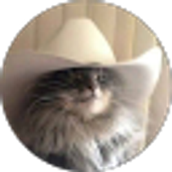 Profile photo of Hayden Lummus