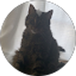 Profile photo of Hannah Jones