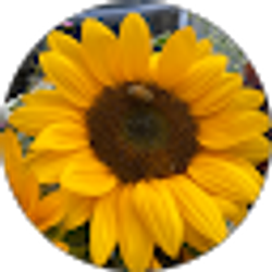 Profile photo of Camille Enriquez