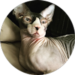 Profile photo of Hayley