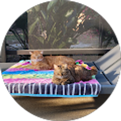 Profile photo of Anna M