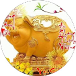 Profile photo of Tri To