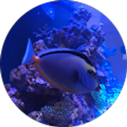 Profile photo of Mike Aragon