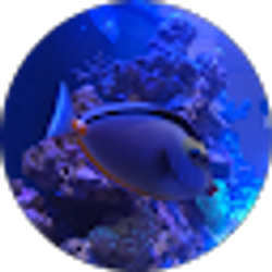 Profile photo of Mike Aragon