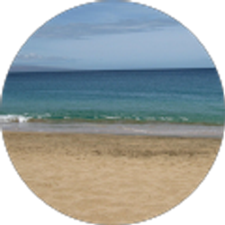 Profile photo of Kim Towers