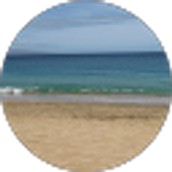 Profile photo of Kim Towers