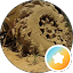 Profile photo of Mud Puppy (MudPuppy)