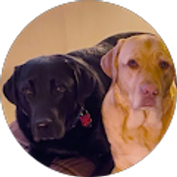 Profile photo of Jon Bennett