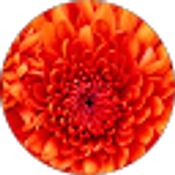 Profile photo of Tami Jones