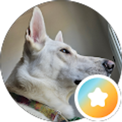 Profile photo of Adam Liggett