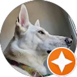 Profile photo of Adam Liggett