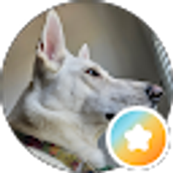 Profile photo of Adam Liggett