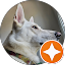 Profile photo of Adam Liggett