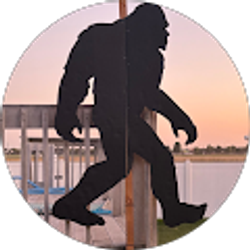 Profile photo of Tracy Anderson