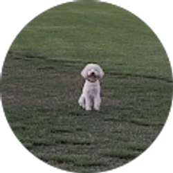 Profile photo of Nicole Blazie