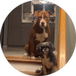 Profile photo of Mekhi DaGoat