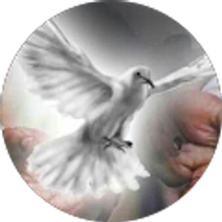 Profile photo of THE SOLUTION CENTER TV CHANNEL.