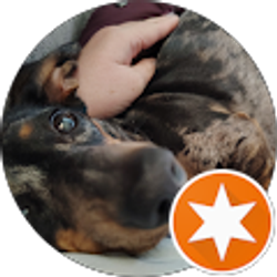 Profile photo of Kristy rose