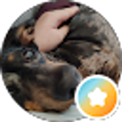 Profile photo of Kristy rose