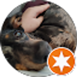 Profile photo of Kristy rose