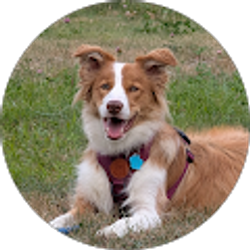 Profile photo of jenn rheault