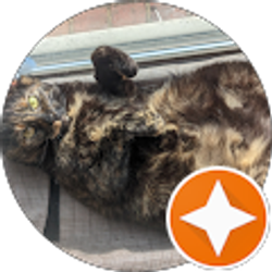 Profile photo of Peter Allerup