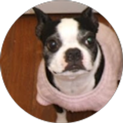 Profile photo of Gayle Sanderson