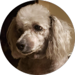 Profile photo of Karen Kouns