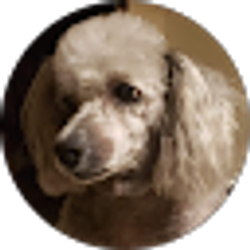 Profile photo of Karen Kouns