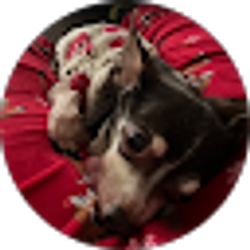 Profile photo of Fany Munoz