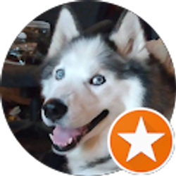 Profile photo of Bill Morgan