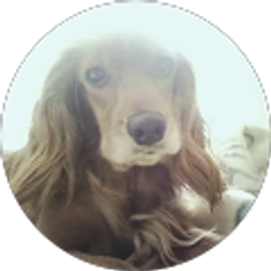 Profile photo of ana maria alvarez zapata