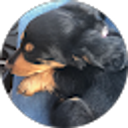 Profile photo of Daniela Angulo