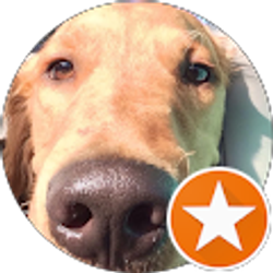 Profile photo of Cody Verrett