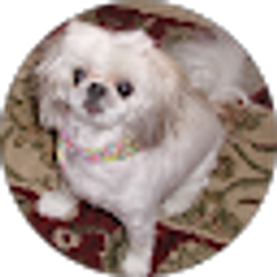 Profile photo of Vickie