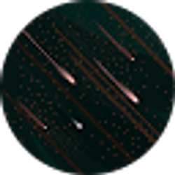 Profile photo of Wanderlust