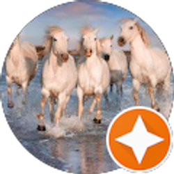 Profile photo of Summer Warsitz