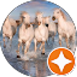 Profile photo of Summer Warsitz