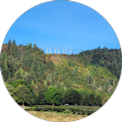 Profile photo of jose l zamora