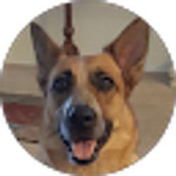 Profile photo of Stephanie Marchionda