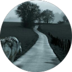 Profile photo of Kane Potavin